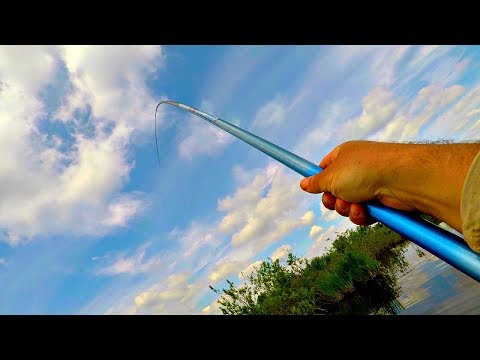 Видео: Ловля крупного карася и амура на секретную снасть! Вот это жор!