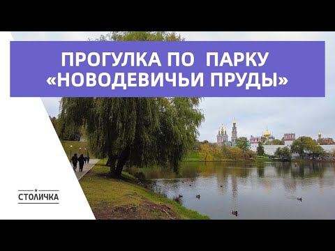 Видео: Прогулка по осеннему парку «Новодевичьи Пруды» | Москва | Moscow walk 4K 60 fps ASMR 2024