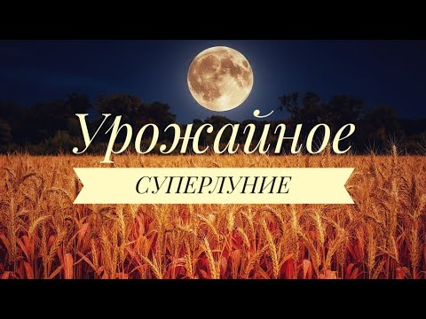 Видео: Урожайное суперлуние 7.10: ритуал!