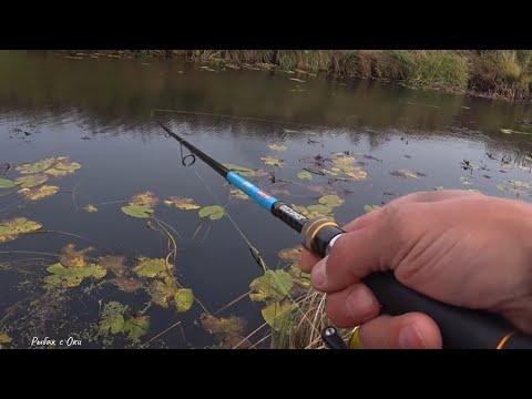 Видео: Вчера и Сегодня в ЧЕМ РАЗНИЦА? Ловля ЩУКИ с Берега на Джиг/ВОБЛЕР! Рыбалка в Октябре на Спиннинг !