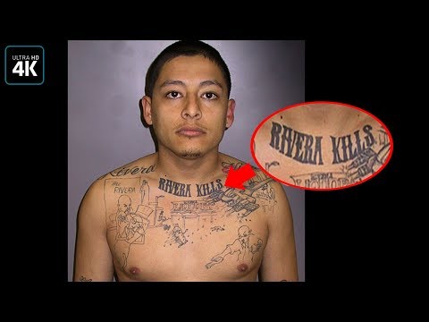 Видео: Нелепые раскрытия идеальных преступлений.