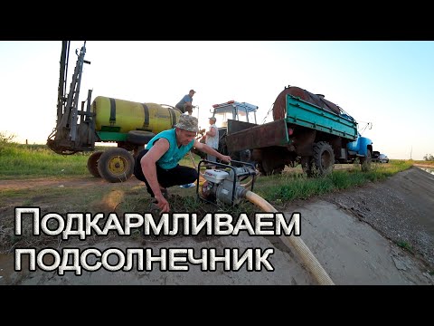 Видео: Вносим гербицид по подсолнуху и подкормка!