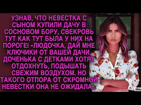 Видео: Свекровь не ожидала такого отпора от скромной невестки