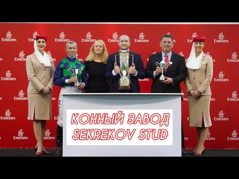 Видео: Sekrekov Stud. Конный завод. Кабардино-Балкария