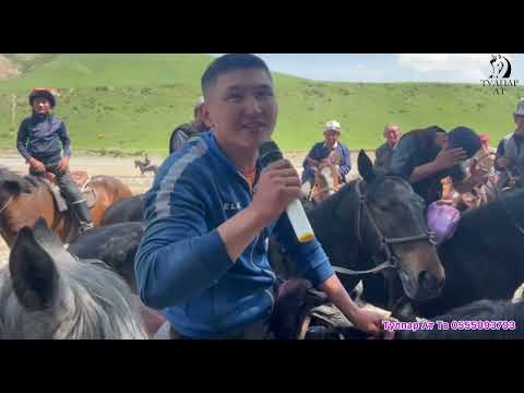 Видео: Стал берген улак, Лангар Ош🇰🇬