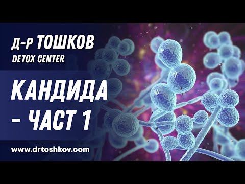 Видео: Кандида - част 1