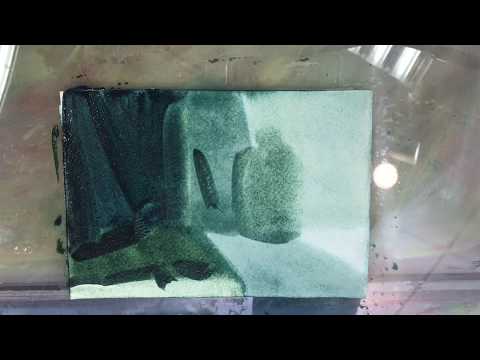 Видео: Акварель «по-сырому». Этапы работы.