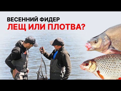 Видео: Рецепт на леща и рецепт на плотву, раскрываем все тонкости! Весенний фидер на реке.