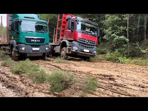 Видео: Лесные лесовозные дороги! Как они есть!