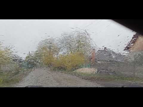 Видео: ДОЩОВІ СПРАВИ..