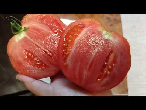 Видео: Дегустация 7 часть