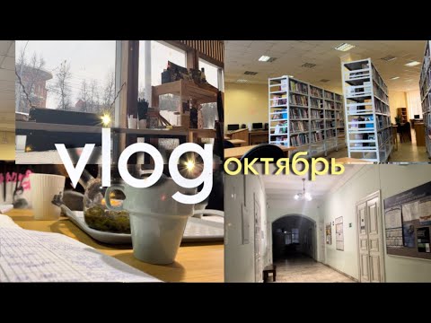 Видео: vlog: пытаюсь сделать латинский, сдаю экзамены в гаи, прокрастинирую