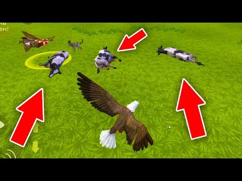 Видео: НАПАЛИ ТРИ КОРОВЫ в WILDCRAFT игра за ОРЛА