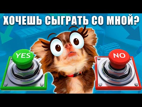 Видео: ИГРА В РЕАЛЬНОЙ ЖИЗНИ! ВЫБЕРИ ДЕЙСТВИЕ, ЧТОБЫ ВЫБРАТЬСЯ ИЗ КОМНАТЫ ЧЕЛЛЕНДЖ