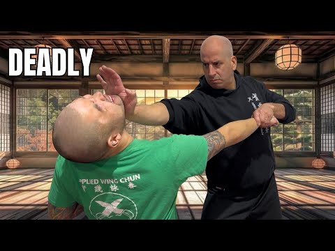 Видео: Останови удар! (с использованием ВИН ЧУН)