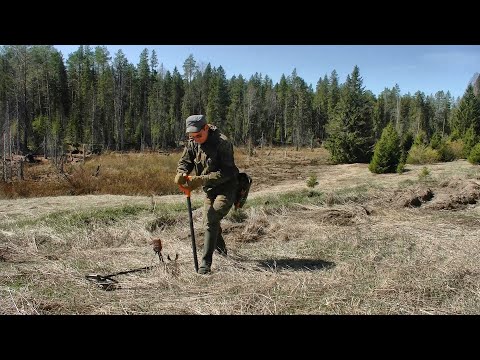 Видео: "За таким сохраном я сюда и приехал!" #460