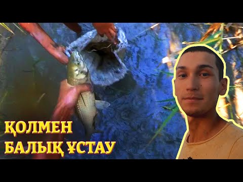 Видео: Қолмен балық ұстау,  тамыз айындағы видео архив