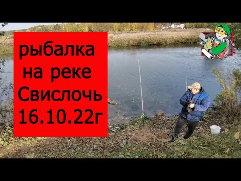 Видео: Рыбалка на реке Свислочь, 16.10.2022г №3