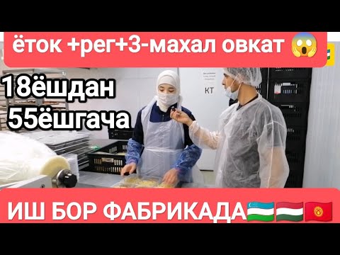 Видео: ⚡Иш бор "ФАБРИКАДА " 3-махал овкат ёток жой регистрация бепул 😱срочно ЖУМУШ БАР 🇺🇿🇭🇺🇰🇬❗