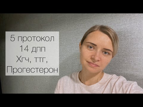 Видео: Эко. Крио на згт. 14 дпп