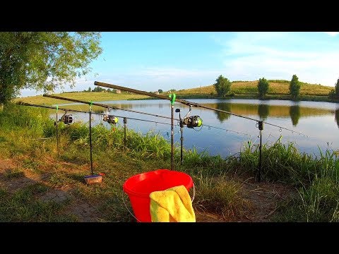 Видео: РЫБАЛКА на НОВОМ ставке ПРОБОВАЛИ ЛОВИТЬ КАРПА НА ЗАРЫБЛЕНОМ ВОДОЕМЕ в разведку на РЫБАЛКУ С НОЧЕВКО