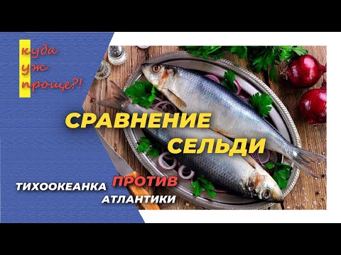 Видео: Сельдь Атлантика против Тихоокеанки. Две селедки - кто кого?