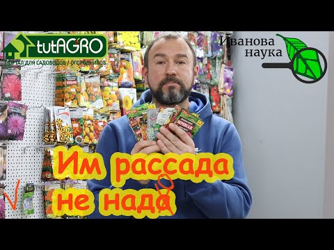 Видео: КРАСИВЕЙШИЕ ЦВЕТЫ, КОТОРЫЕ ЗАДУШАТ СОРНЯКИ. Сами сеются, сами растут, сами цветут и БЕЗ УХОДА.