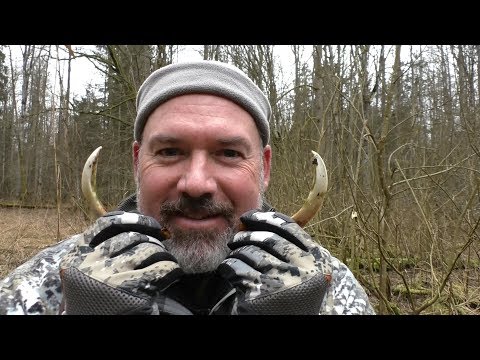 Видео: В ПОИСКАХ ДИКОГО КАБАНА.Охота с подхода.