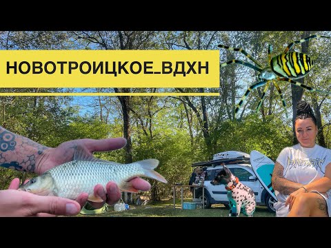 Видео: Рыбалка и Отдых с Женой , Хутор Смыков, Новотроицкое, Рыбалка в Ставропольский Край.