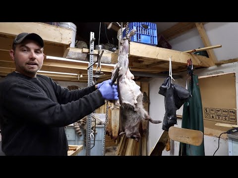 Видео: Я нашёл лучший способ снятия кожи вручную (розыгрыш окончен)