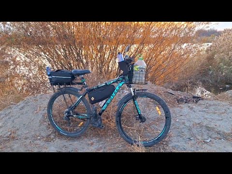 Видео: Велопрогулка за мальками в пруд. Дикие рыбки в Аквариум. #велопрогулка #аквариум #пруд #мальки