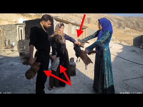 Видео: Продажа местной курицы и дружба: Эсмат и Сохраб стали покупателями. В чём проблема?