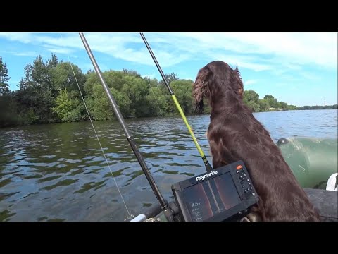 Видео: Рыбалка на Москве-реке