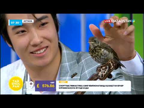 Видео: Домбыра үніне ән салатын бұлбұл | ЭКСКЛЮЗИВ | Ақжол Дәлелхан