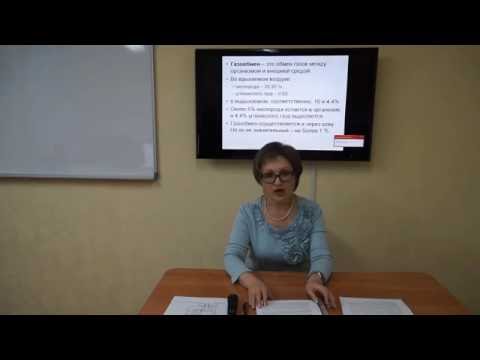 Видео: Козина Е.А. Оценка энергетической питательности кормов
