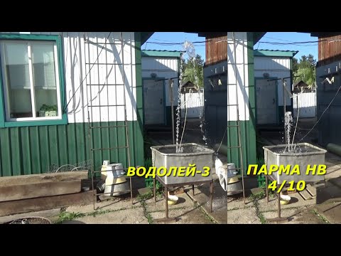 Видео: Продолжаю обзор Водолея и Пармы