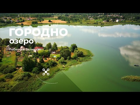 Видео: Озеро Городно (Витебский район)