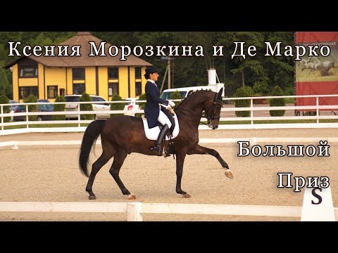 Видео: Ксения Морозкина и Де Марко. Выездка. Большой приз - 65,543%
