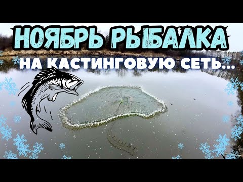 Видео: НОЯБРЬ, ПОИСК ЯМЫ С РЫБОЙ, РЫБАЛКА НА КАСТИНГОВУЮ СЕТЬ 🕸️