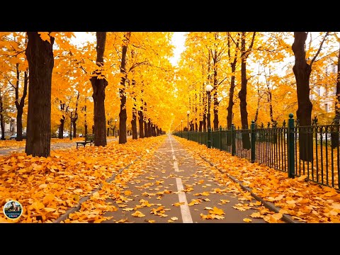 Видео: Осень - Невероятно красивая осенняя мелодия - ТАКОЙ МУЗЫКИ ТЫ ЕЩЕ НЕ СЛЫШАЛ! СРОЧНО ИЩИТЕ НАУШНИКИ