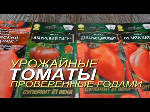 Видео: УРОЖАЙНЫЕ и НАДЕЖНЫЕ ТОМАТЫ проверенные временем! Советы от ЗЕЛЕНОГО ОГОРОДА!