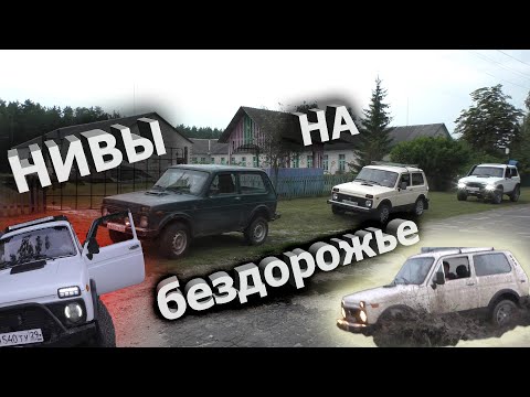 Видео: Нивы  на бездорожье offroad