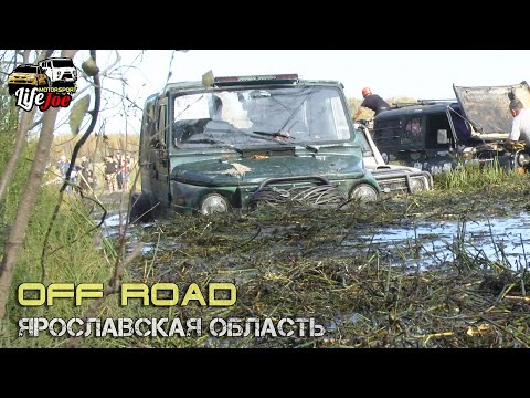 Видео: off road спринт Бешеный лось на джип фестивале Медвежесть 2023. Гонки на бездорожье УАЗ, ЛуАЗ и Нива