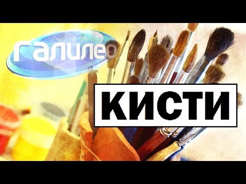 Видео: #Галилео | Кисти 🖌 [Brushes]