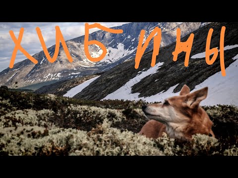 Видео: ХИБИНЫ 2025 июнь