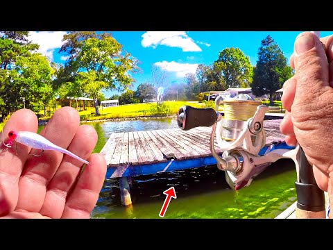Видео: КРУПНОЕ ТОЧКА ДЛЯ ЛОВИЩИ КРАППИ! Как легко поймать ТАК МНОГО краппи?