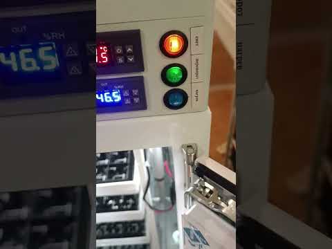 Видео: 3 августа 2025 г.