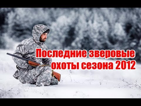 Видео: Последние зверовые охоты сезона 2012 (UKR)