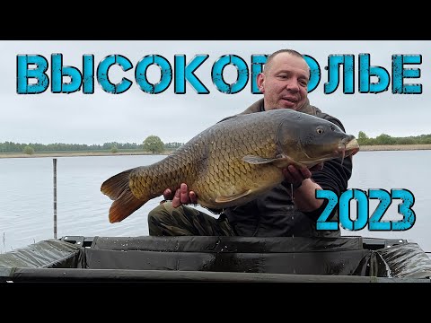 Видео: Красивые карпы и дуплеты! Кубок г.Белгорода. Первые соревнования на Высокополье 2023 !!!