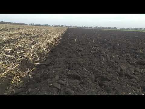 Видео: Оранка кукурудзи 2020